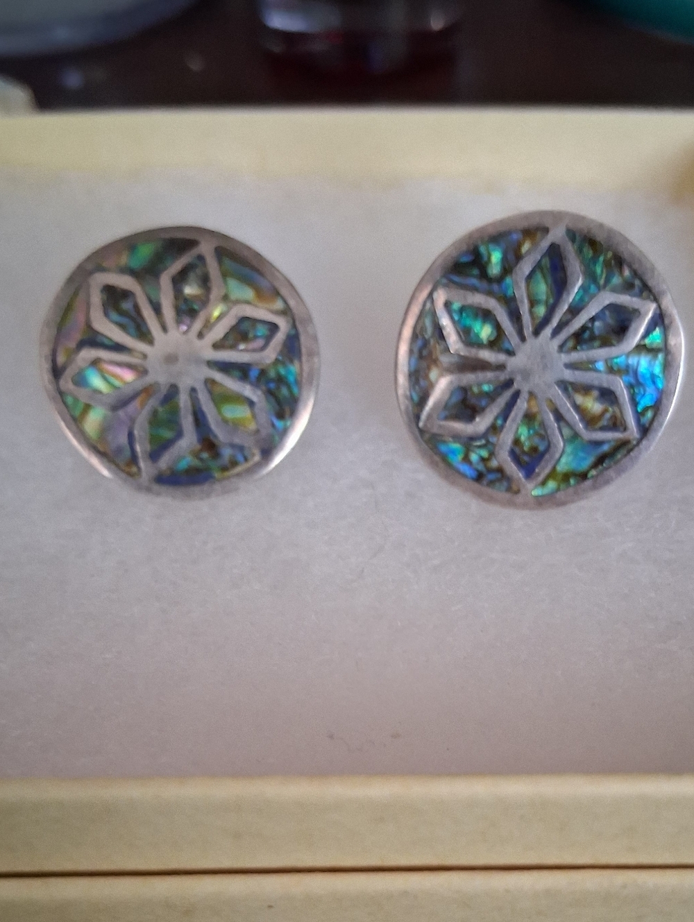 Vintage Abalone Earrings in Sterling Silver Clip
